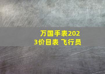 万国手表2023价目表 飞行员